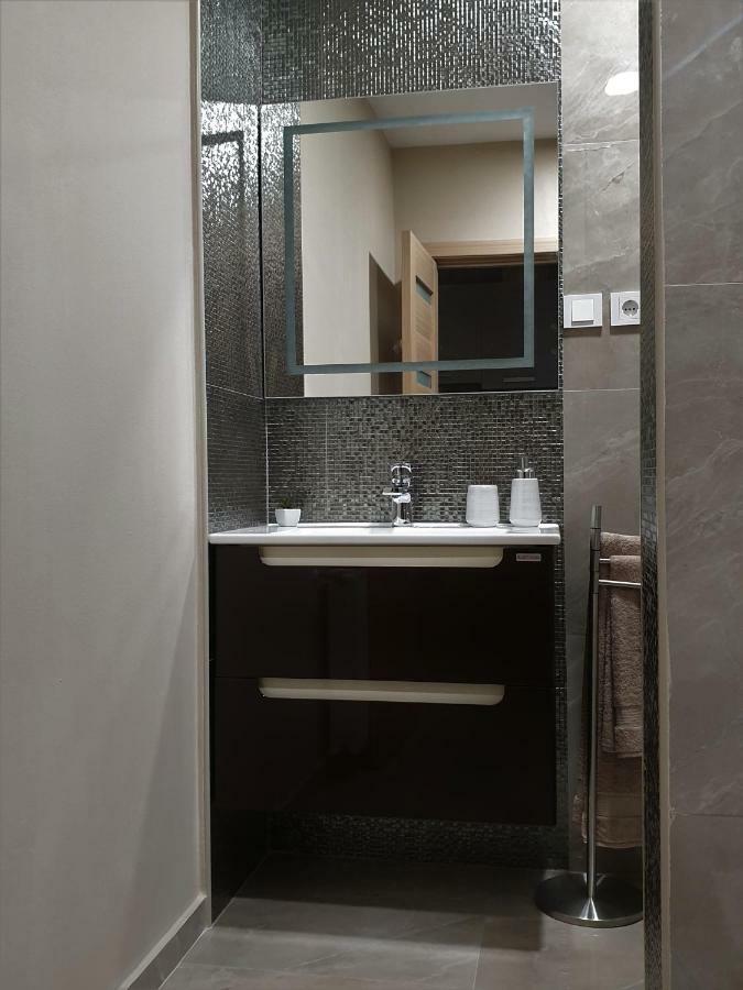 Irina Apartments Timişoara Exterior foto
